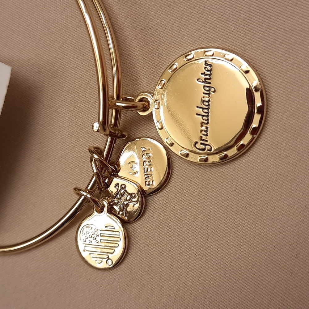 NWT, Alex and Ani Gold Because I Love You Granddaughter Bracelet - Picture 7 of 9